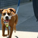 Traceur Bluetooth Localisateur d’objets  GPS – Image 4